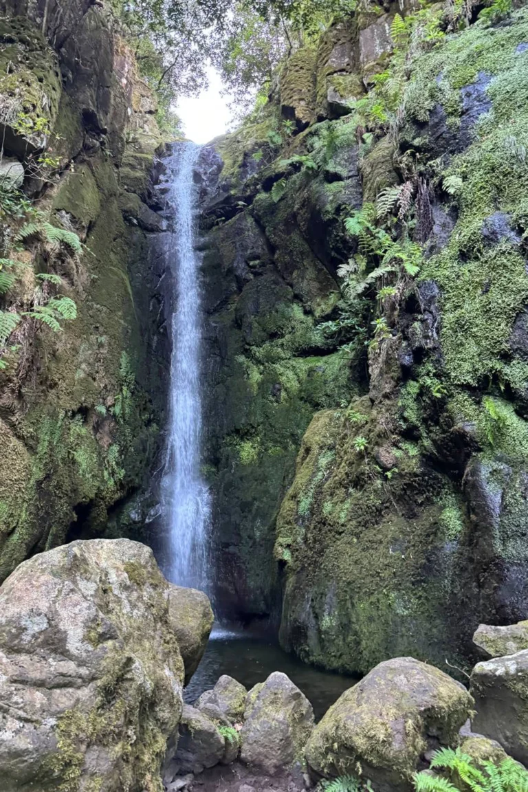 Madeira retreat (1)