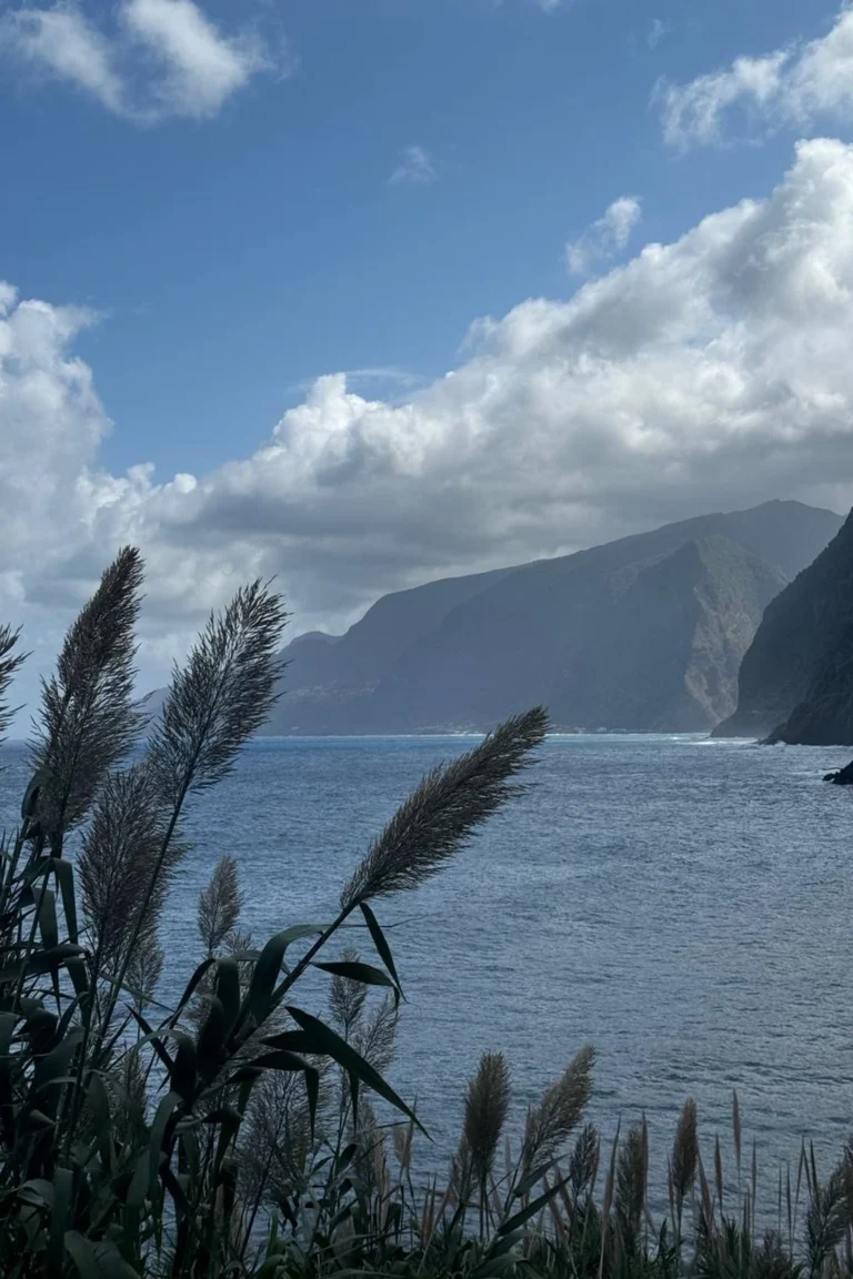 Madeira retreat (16)