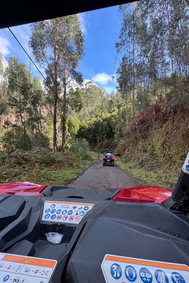 Madeira retreat (17)