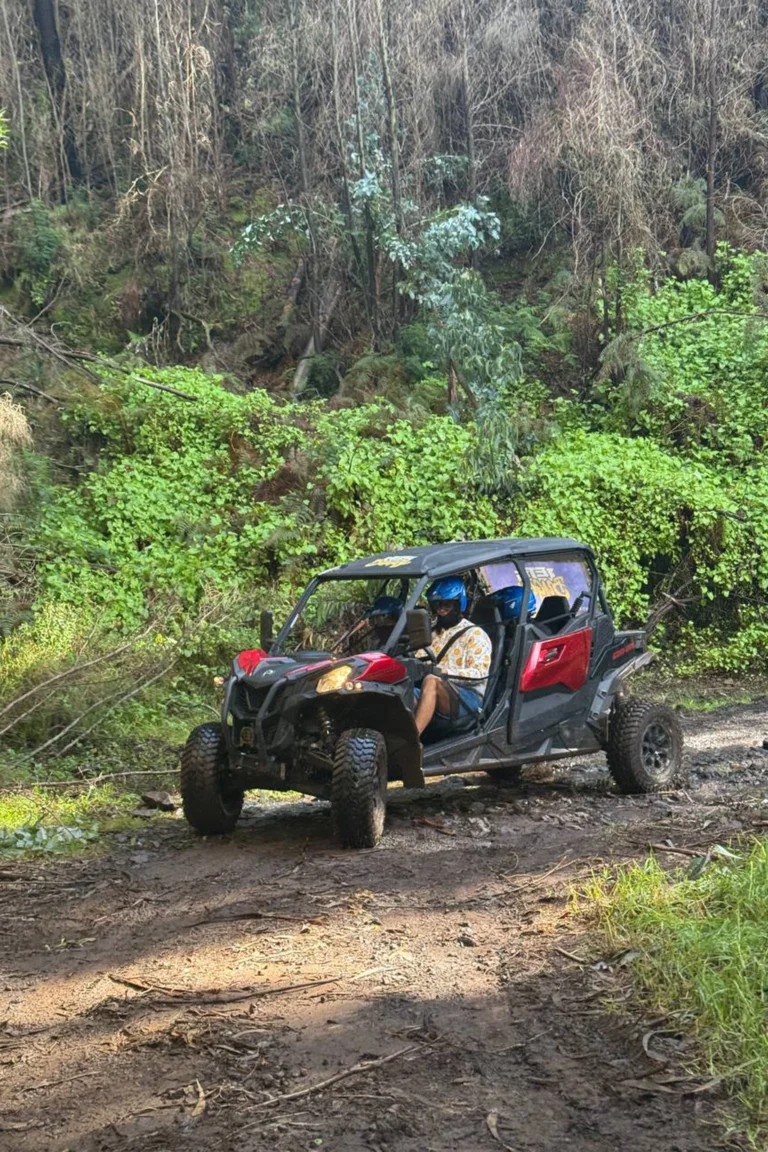 Madeira retreat (19)