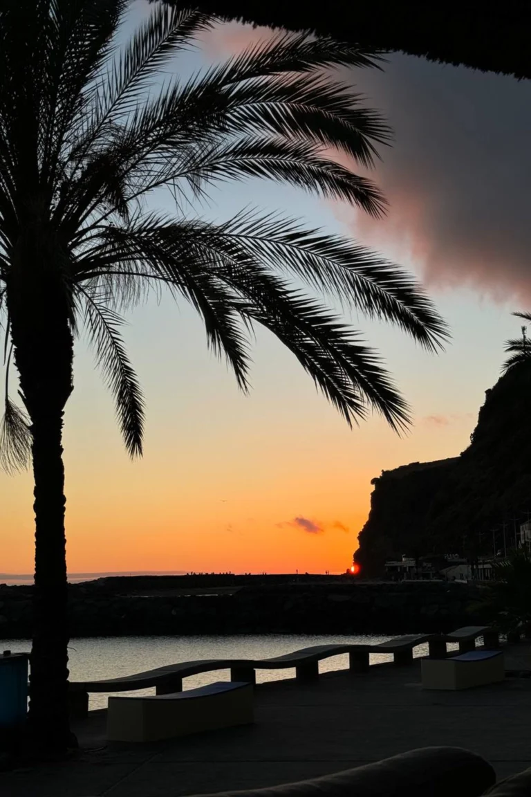 Madeira retreat (22)