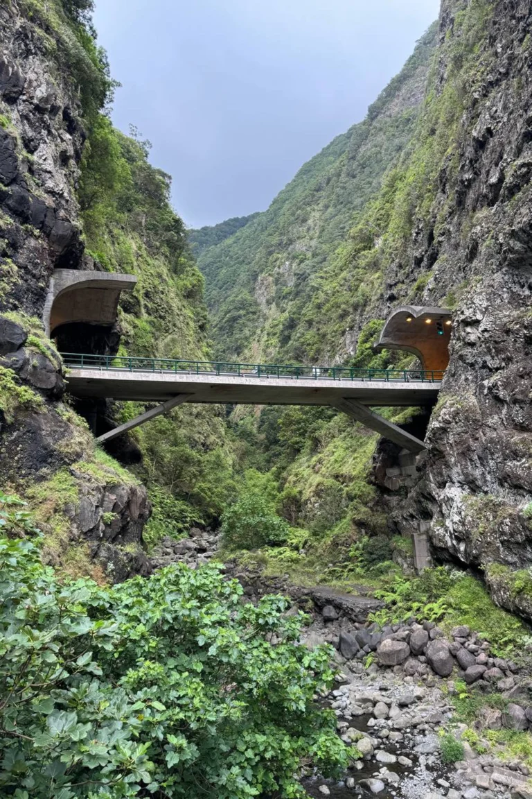 Madeira retreat (28)