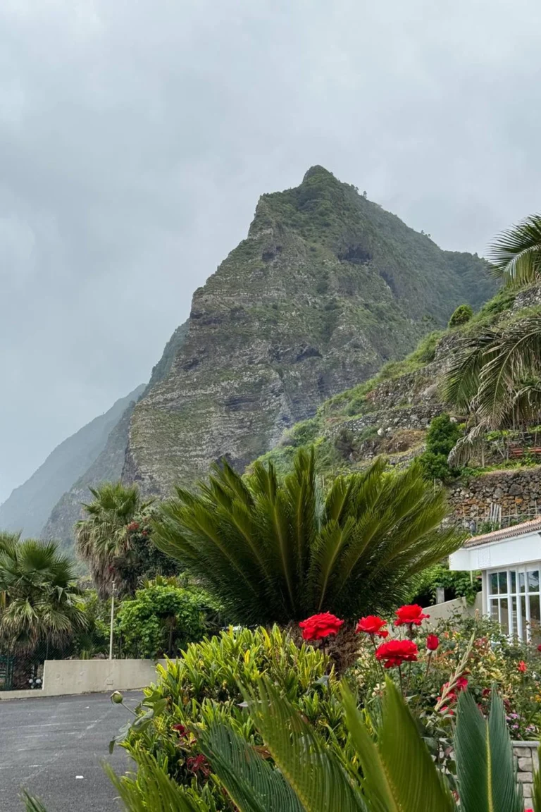 Madeira retreat (4)