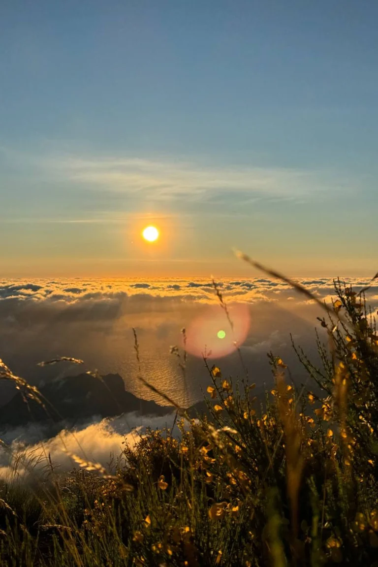 Madeira retreat (6)