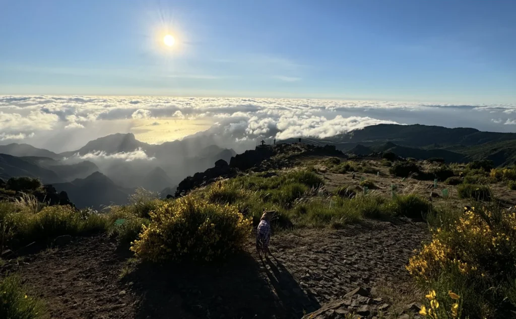 Sunrise above the sea of clouds on Pico do Areeiro, Madeira
