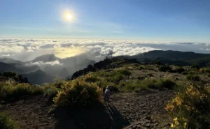 Madeira Ocean & Mountains