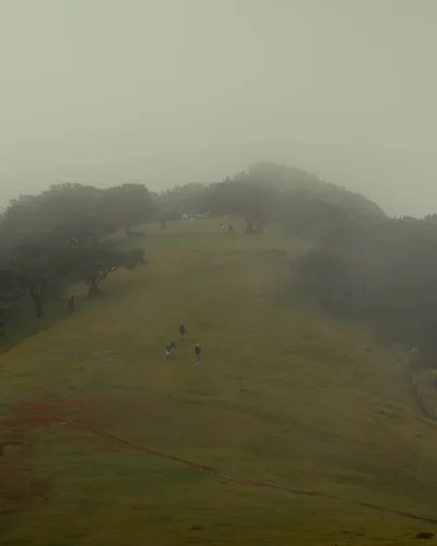 WIDE 2.00_30_52_02.Still081