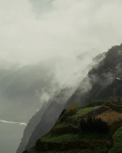 WIDE 2.00_31_49_18.Still083