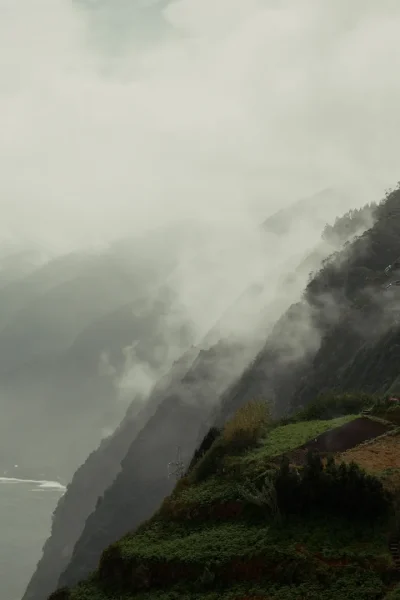 WIDE 2.00_31_49_18.Still083