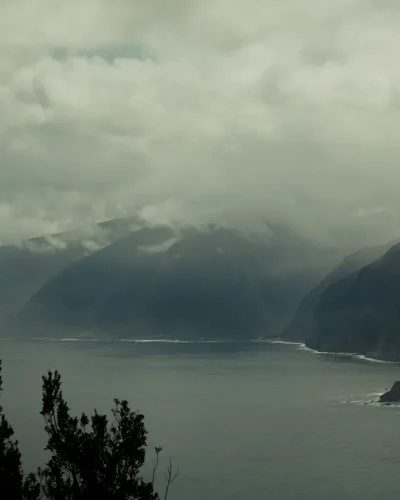 WIDE 2.00_34_00_20.Still084