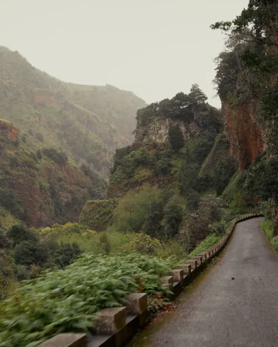 WIDE 2.00_34_40_23.Still085