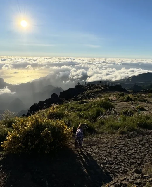 Sunrise above the sea of clouds on Pico do Areeiro, Madeira