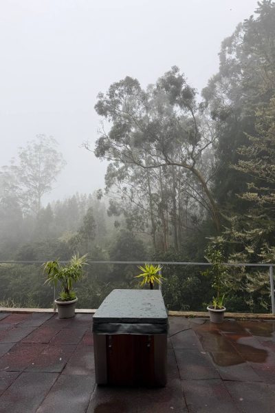 photo_2026-04-11_23-59-59